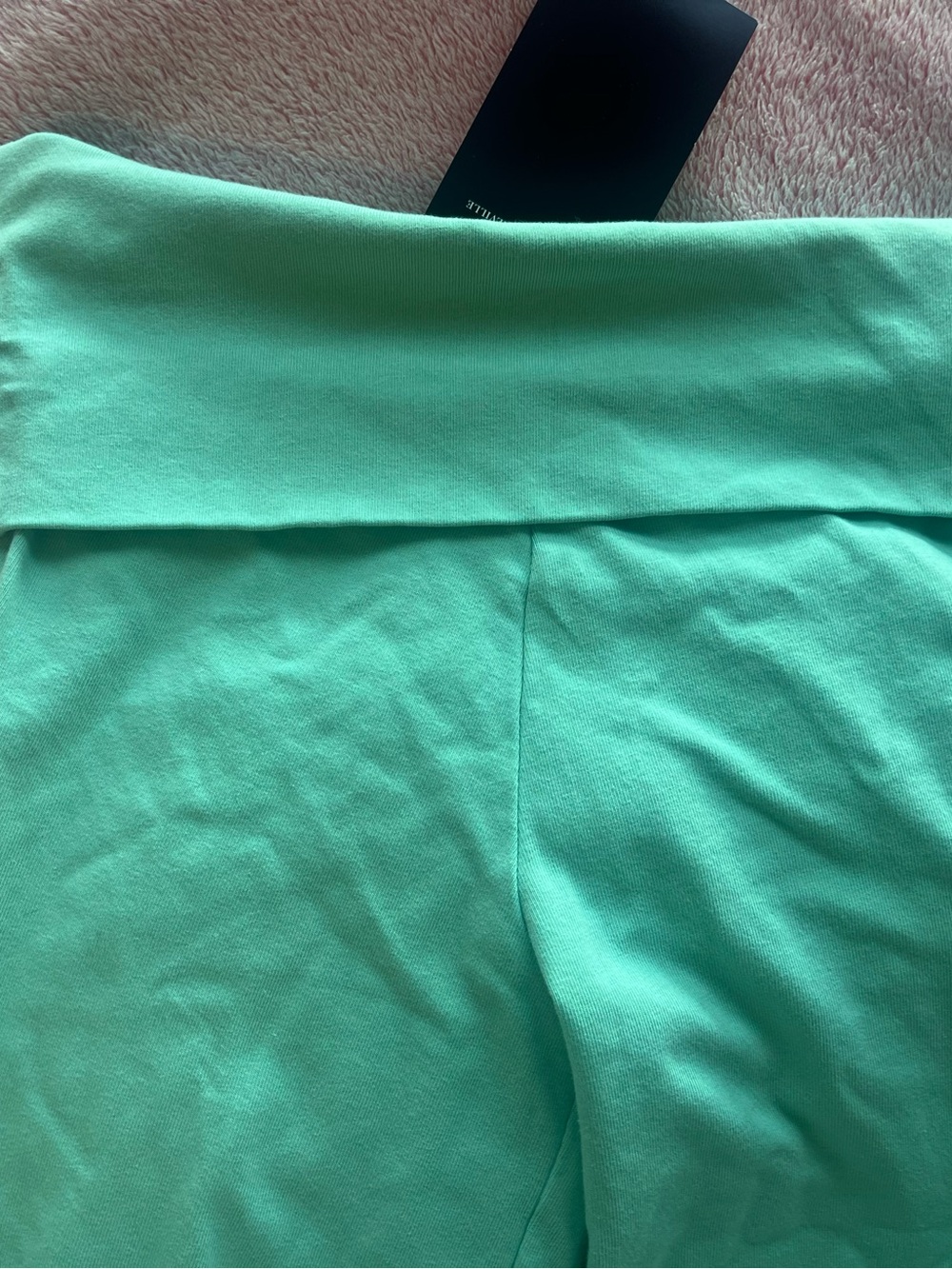 brandy melville teal priscilla pants 🩵